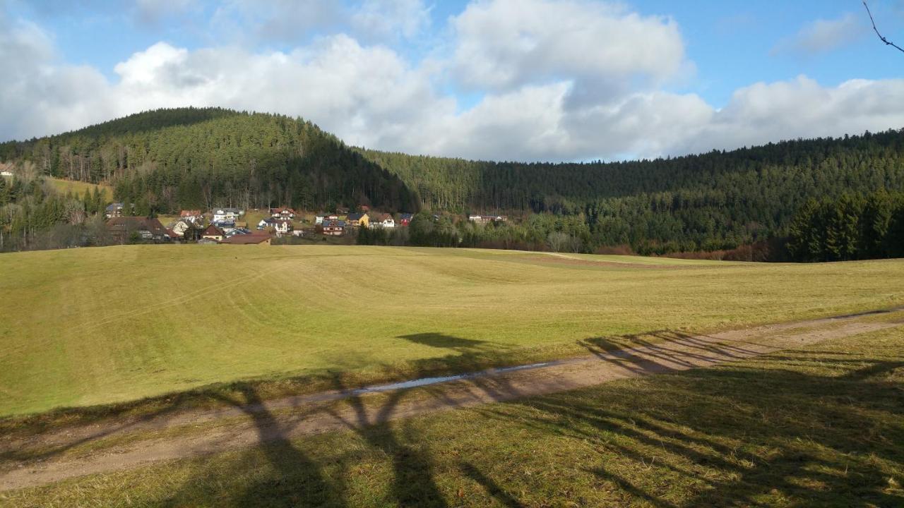Oeko-Landhotel Basler Hof Lauterbach  Exterior foto